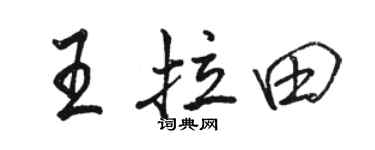 骆恒光王拉田行书个性签名怎么写