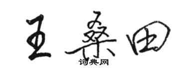 骆恒光王桑田行书个性签名怎么写