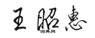 骆恒光王昭惠行书个性签名怎么写