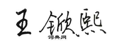 骆恒光王锨熙行书个性签名怎么写