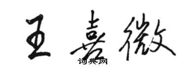 骆恒光王喜微行书个性签名怎么写