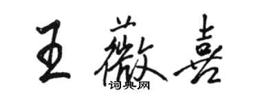 骆恒光王薇喜行书个性签名怎么写