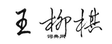 骆恒光王柳棋行书个性签名怎么写