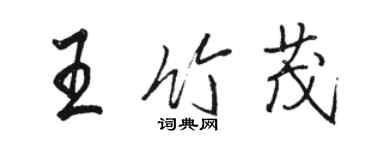 骆恒光王竹茂行书个性签名怎么写