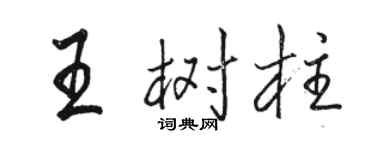 骆恒光王树柱行书个性签名怎么写