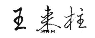 骆恒光王来柱行书个性签名怎么写