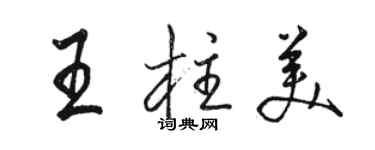 骆恒光王柱美行书个性签名怎么写