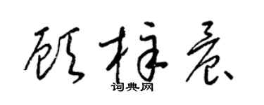 梁锦英顾梓晨草书个性签名怎么写