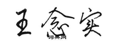骆恒光王念实行书个性签名怎么写