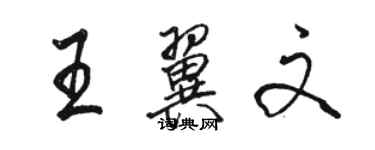 骆恒光王翼文行书个性签名怎么写
