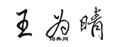 骆恒光王为晴行书个性签名怎么写