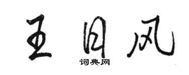 骆恒光王日风行书个性签名怎么写