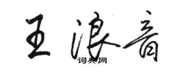 骆恒光王浪音行书个性签名怎么写