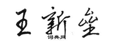 骆恒光王新垒行书个性签名怎么写