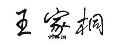 骆恒光王家桐行书个性签名怎么写