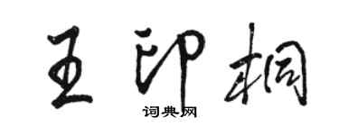 骆恒光王印桐行书个性签名怎么写