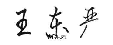 骆恒光王东严行书个性签名怎么写