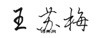 骆恒光王苏梅行书个性签名怎么写
