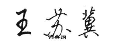 骆恒光王苏冀行书个性签名怎么写