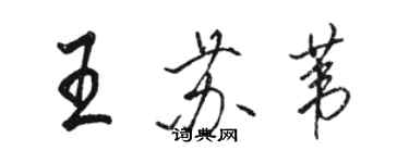 骆恒光王苏苇行书个性签名怎么写