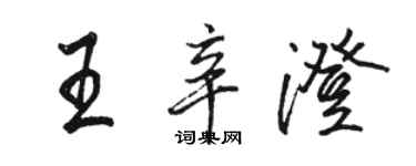骆恒光王辛澄行书个性签名怎么写