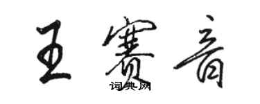 骆恒光王赛音行书个性签名怎么写