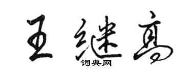 骆恒光王继高行书个性签名怎么写