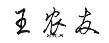 骆恒光王农友行书个性签名怎么写