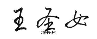 骆恒光王圣女行书个性签名怎么写