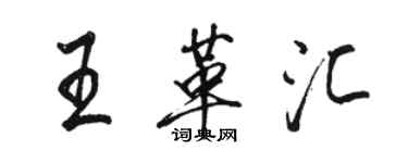 骆恒光王革汇行书个性签名怎么写
