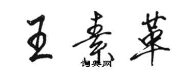 骆恒光王素革行书个性签名怎么写