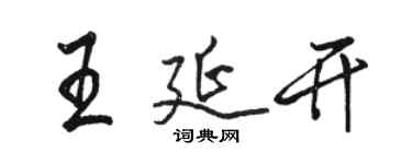 骆恒光王延开行书个性签名怎么写