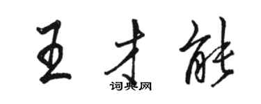 骆恒光王才能行书个性签名怎么写