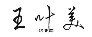 骆恒光王叶美行书个性签名怎么写