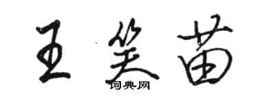 骆恒光王笑苗行书个性签名怎么写