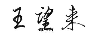骆恒光王望来行书个性签名怎么写