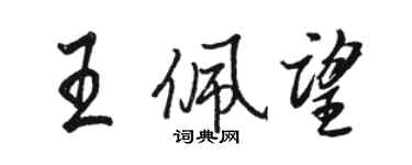 骆恒光王佩望行书个性签名怎么写