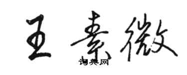 骆恒光王素微行书个性签名怎么写