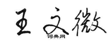 骆恒光王文微行书个性签名怎么写
