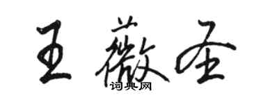 骆恒光王薇圣行书个性签名怎么写