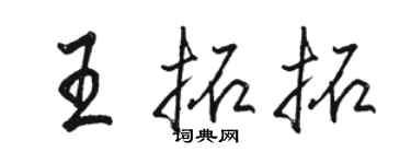 骆恒光王拓拓行书个性签名怎么写