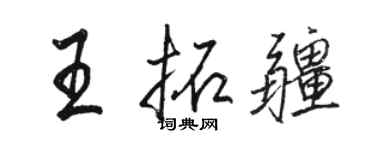 骆恒光王拓疆行书个性签名怎么写