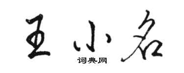 骆恒光王小名行书个性签名怎么写