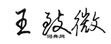 骆恒光王致微行书个性签名怎么写