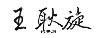 骆恒光王耿旋行书个性签名怎么写
