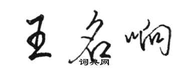 骆恒光王名响行书个性签名怎么写
