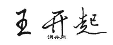 骆恒光王开起行书个性签名怎么写