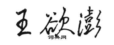 骆恒光王欲澎行书个性签名怎么写