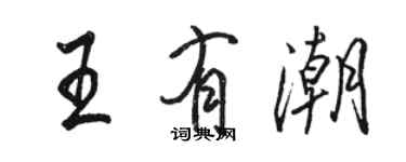 骆恒光王有潮行书个性签名怎么写