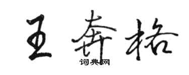 骆恒光王奔格行书个性签名怎么写